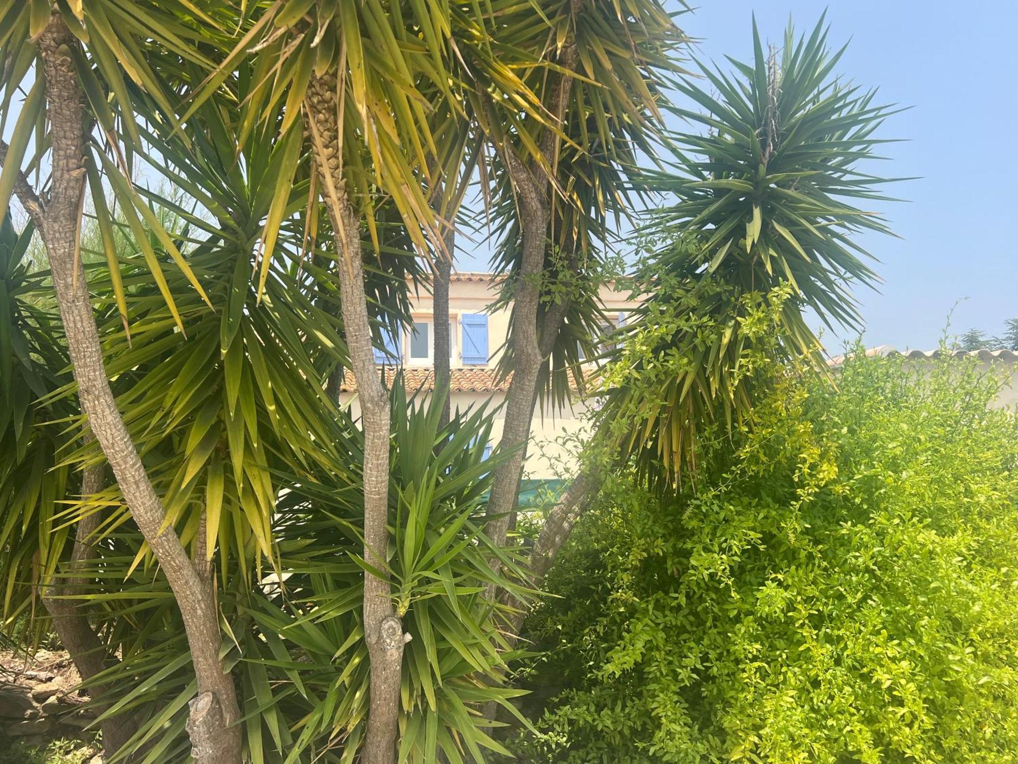 La Bastide Bleue * La Ciotat